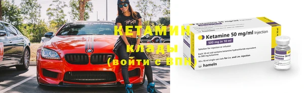 прущие грибы Касимов