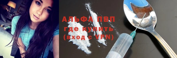 прущие грибы Касимов