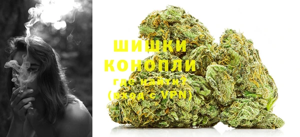 прущие грибы Касимов