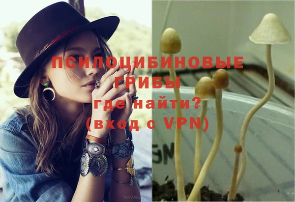 MDMA Premium VHQ Карпинск