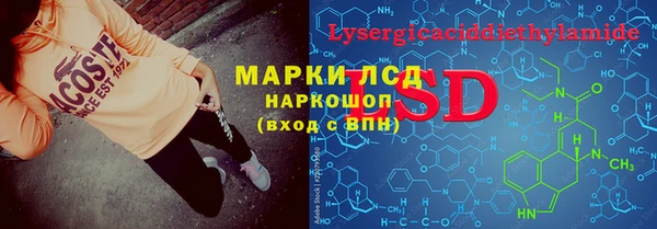 прущие грибы Касимов