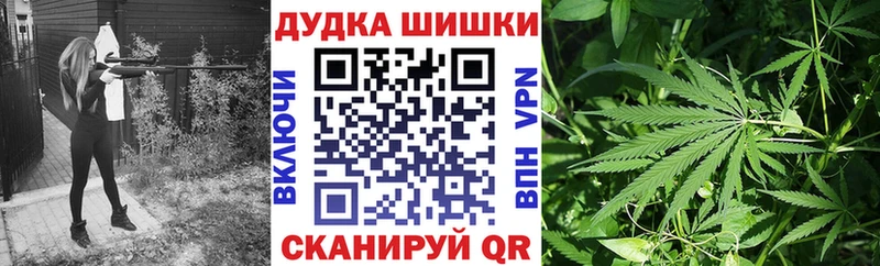 Купить закладки  Завитинск  Шишки марихуана AK-47 